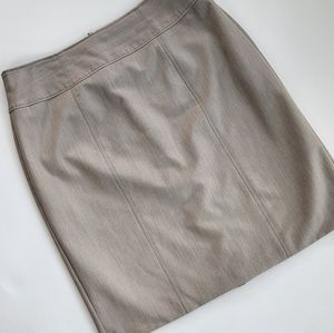 Worthington Skirt Tan Lined